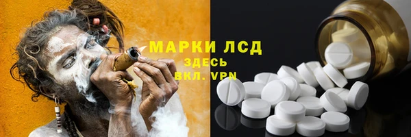 PSILOCYBIN Майский