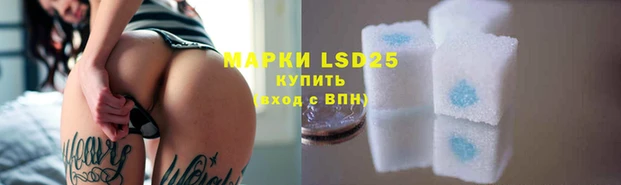 стаф Медвежьегорск