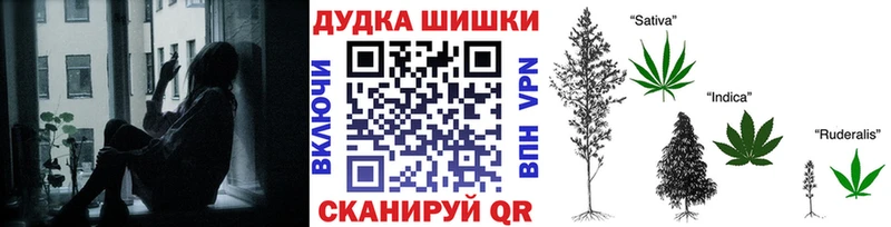 Купить  Фрязино  Бошки марихуана SATIVA & INDICA 